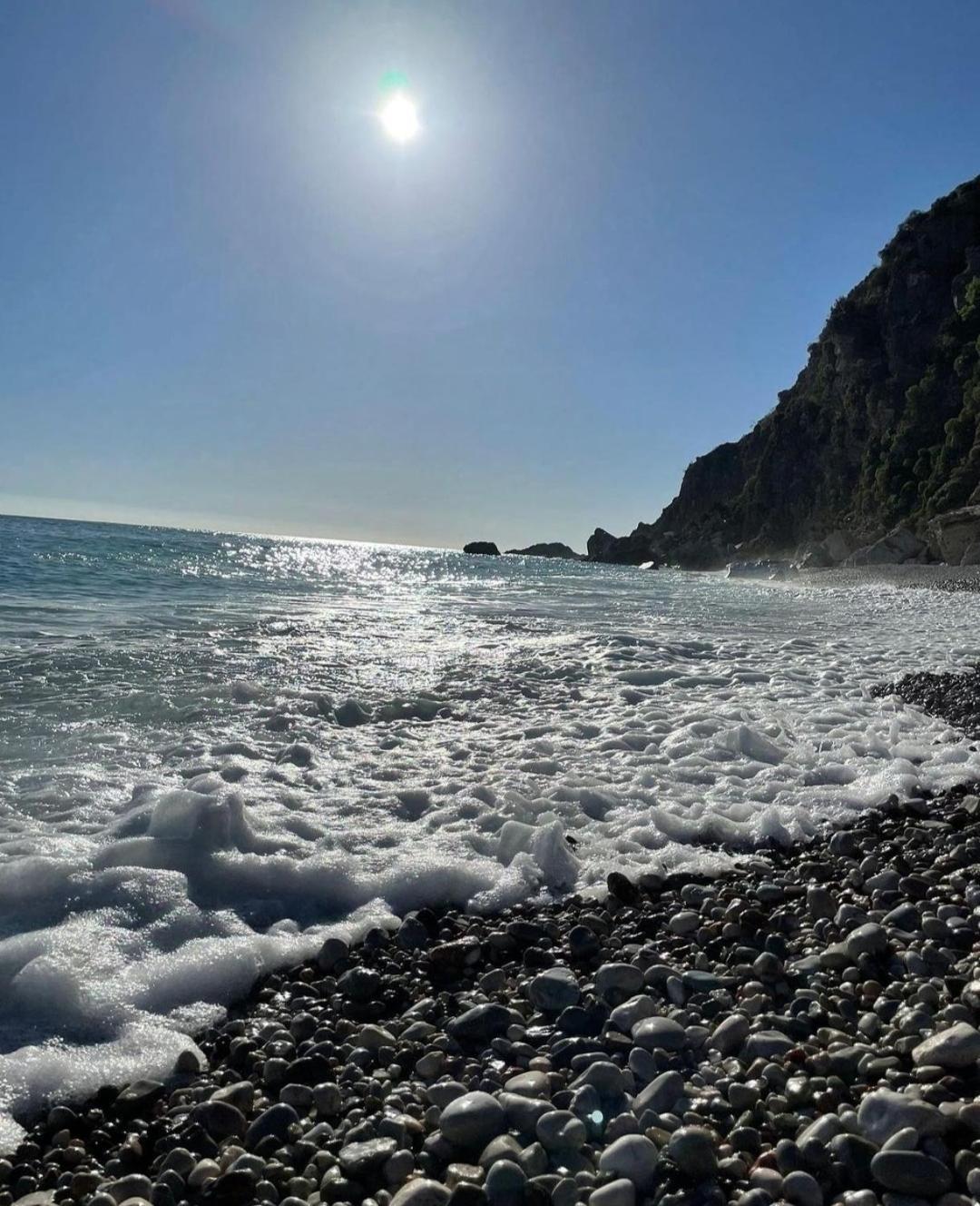 Simonovic Appartement Petrovac