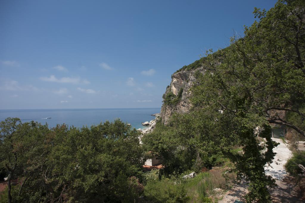 Simonovic Petrovac